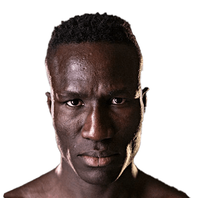 Elhadji G Ndour